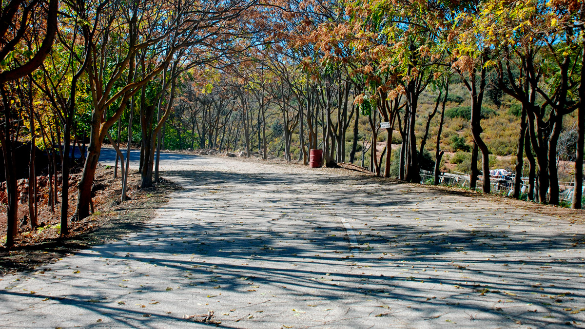 Carreteras Hist�ricas. Memoria