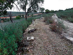N-V. Almaraz-Jaraicejo. Galer�a de fotos