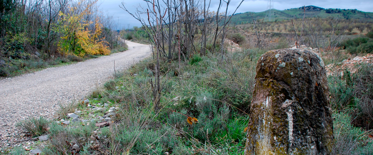 Carretera N-II. Calatayud-Morata de Jal�n