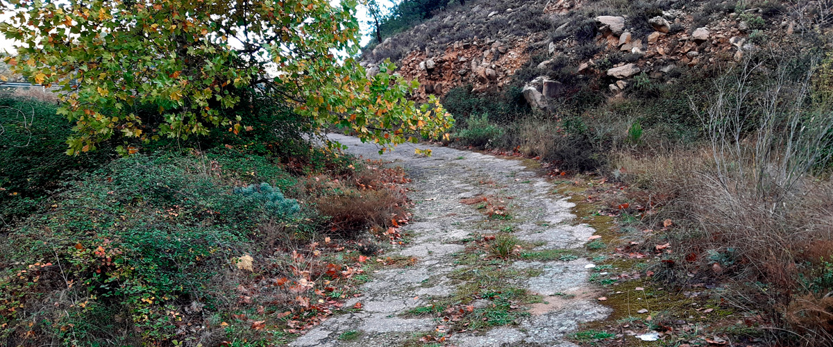 Carretera N-II. Calatayud-Morata de Jal�n