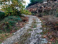 N-II. Calatayud-Morata de Jal�n. Galer�a de fotos