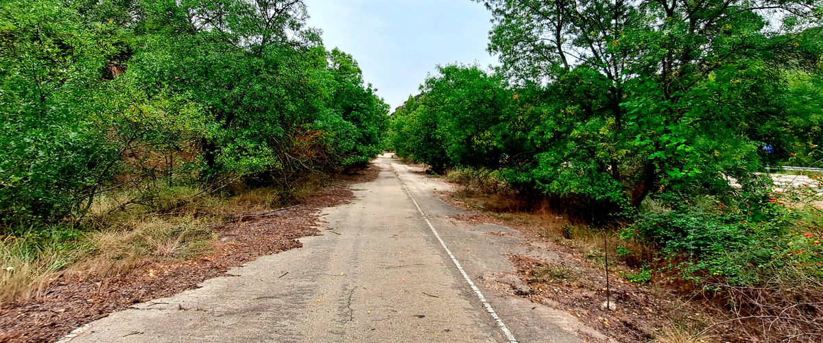 Carretera N-II. Esteras de Medinaceli-Arcos de Jal�n