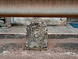 N-II. Esteras de Medinaceli-Arcos de Jal�n. Galer�a de fotos