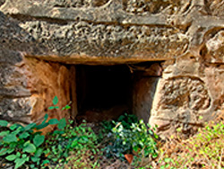 N-II. Esteras de Medinaceli-Arcos de Jal�n. Galer�a de fotos