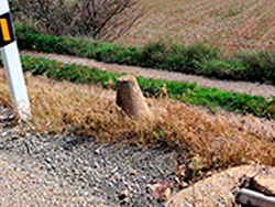 N-II. Esteras de Medinaceli-Arcos de Jal�n. Galer�a de fotos