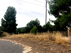 N-III. Minglanilla-Villagordo del Cabriel. Galer�a de fotos