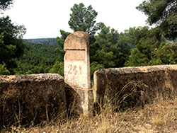 N-III. Minglanilla-Villagordo del Cabriel. Galer�a de fotos