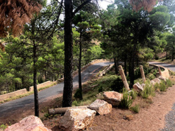N-III. Minglanilla-Villagordo del Cabriel. Galer�a de fotos