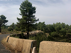 N-III. Minglanilla-Villagordo del Cabriel. Galer�a de fotos