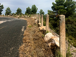 N-III. Minglanilla-Villagordo del Cabriel. Galer�a de fotos